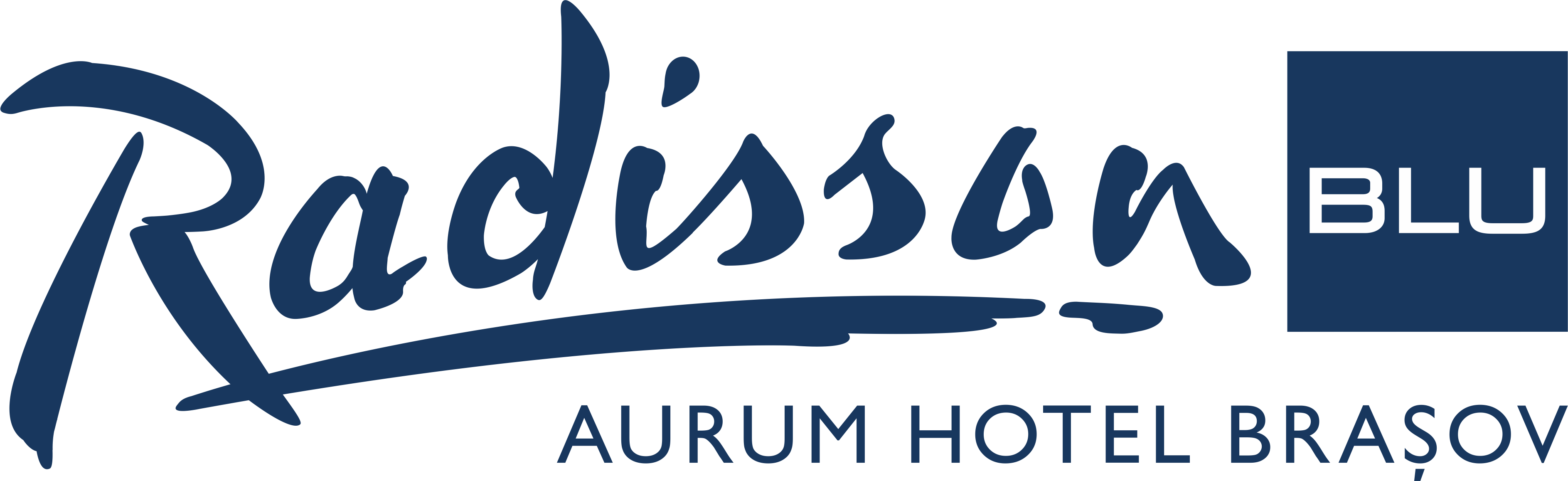 Radisson Blu